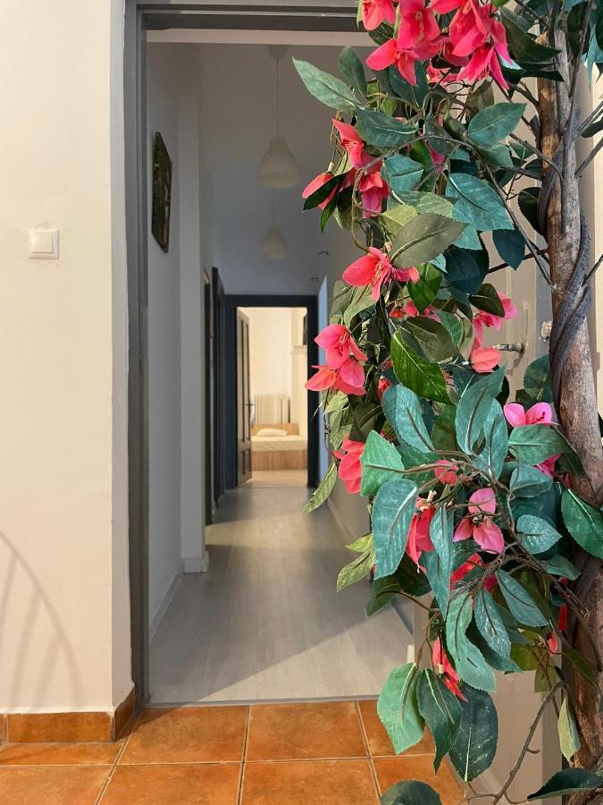 Outstanding 3Br Ultracentral Cityview Balcony Aaa Διαμέρισμα Βουκουρέστι Εξωτερικό φωτογραφία